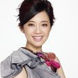 許戈輝 許戈輝