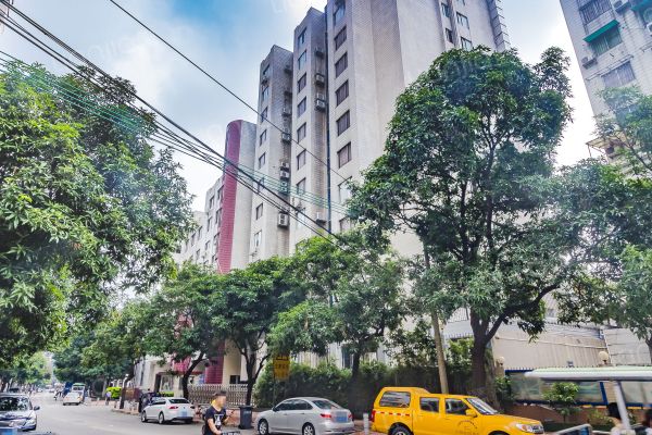 江泰路 江泰路