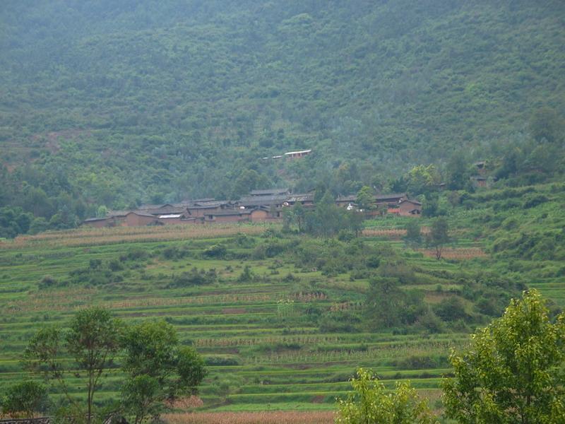 香栗樹村 香栗樹村