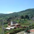 草子坡村 草子坡村