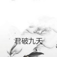 君破九天 君破九天