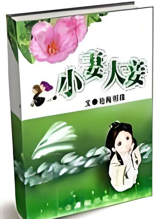 小妻大妾