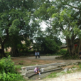 小馬村(遼寧省海城市高坨鎮小馬村) 小馬村(遼寧省海城市高坨鎮小馬村)
