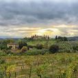 tuscany(義大利的一個大區) tuscany(義大利的一個大區)