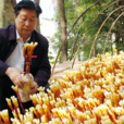 林占熺 林占熺