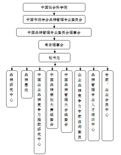 中品委框架圖