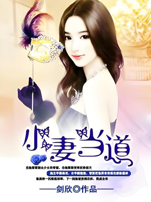 小妻當道 小妻當道