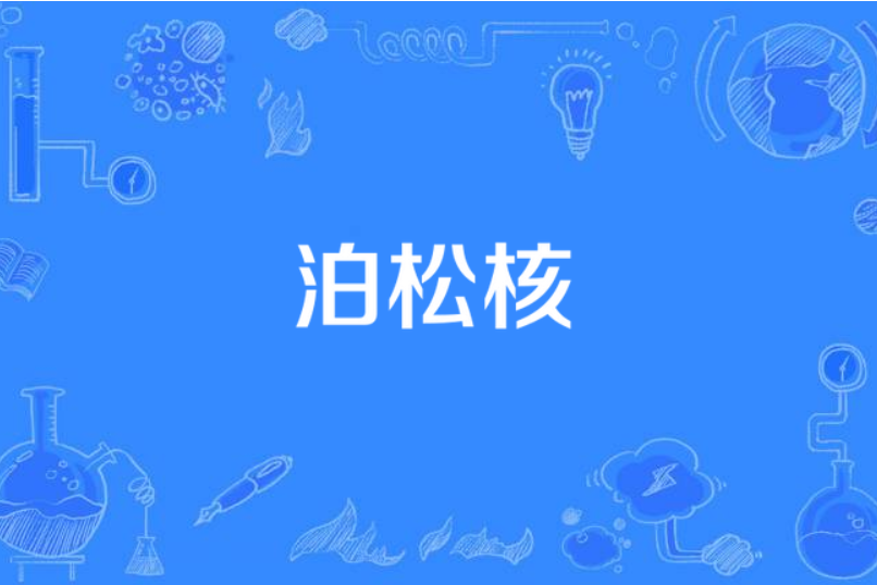 泊松核