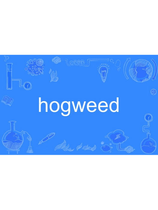 hogweed hogweed