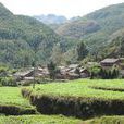 甲石村 甲石村