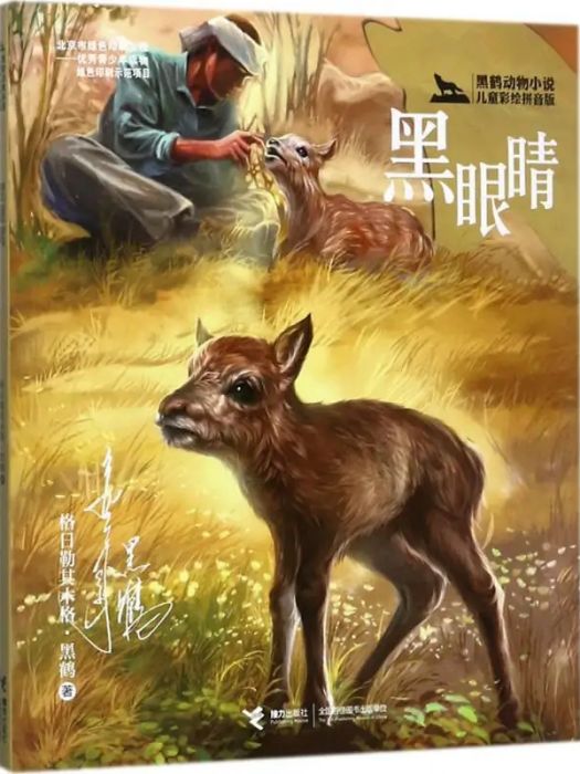 黑眼睛(2017年接力出版社出版的圖書) 黑眼睛(2017年接力出版社出版的圖書)