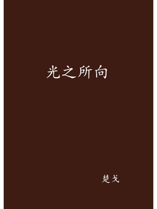 光之所向(楚戈創作的網路小說) 光之所向(楚戈創作的網路小說)