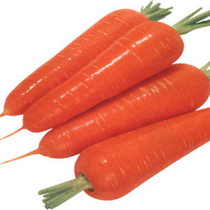 胡蘿蔔