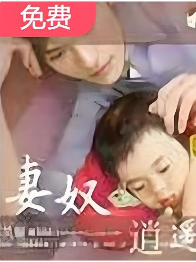 妻奴(逍遙所著小說)