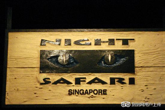 新加坡夜間野生動物園(Night Safari)