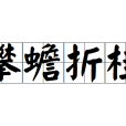 攀蟾折桂