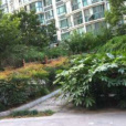 海洲麗園二期 海洲麗園二期