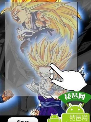 龍珠拼圖 龍珠拼圖