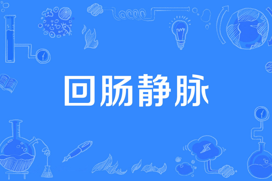 迴腸靜脈 迴腸靜脈