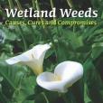 Wetland Weeds Wetland Weeds