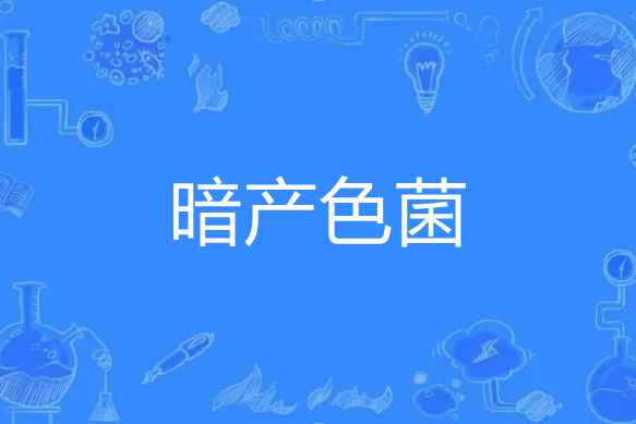暗產色菌 暗產色菌