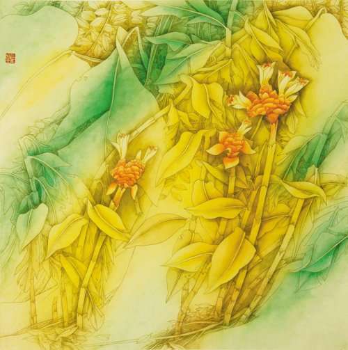 脆舌姜 脆舌姜