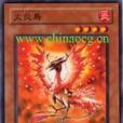 火炎鳥 火炎鳥
