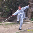 武當純陽劍 武當純陽劍