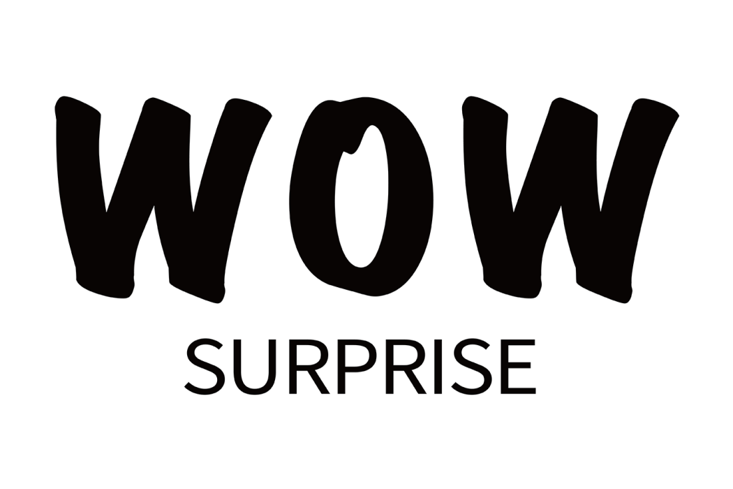 有驚喜(WOW SURPRISE) 有驚喜(WOW SURPRISE)