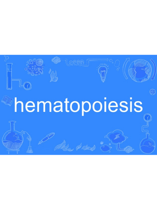 hematopoiesis hematopoiesis