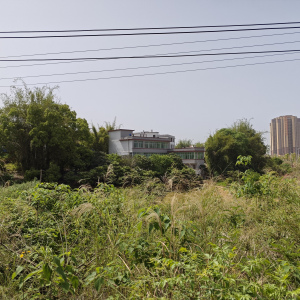 楂林村 楂林村