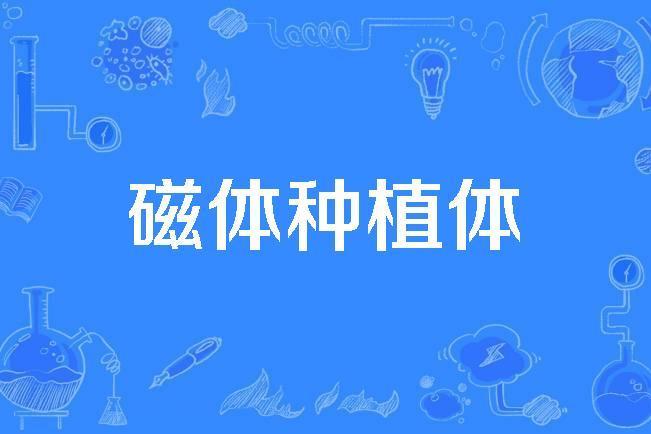 磁體種植體 磁體種植體