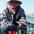 老四趕海 老四趕海