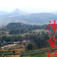 神童村 神童村