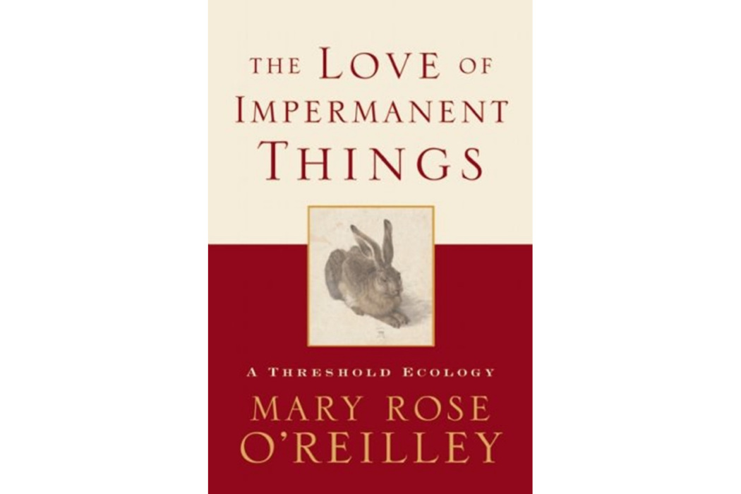 The Love of Impermanent Things The Love of Impermanent Things