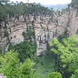 打岱河天坑 打岱河天坑