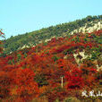 沂源鳳凰山 沂源鳳凰山
