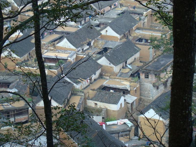 樹碧村 樹碧村