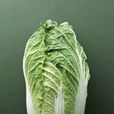 虹明青 虹明青