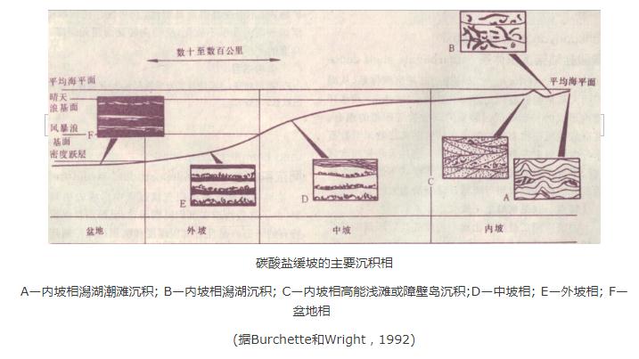 碳酸鹽緩坡沉積體系