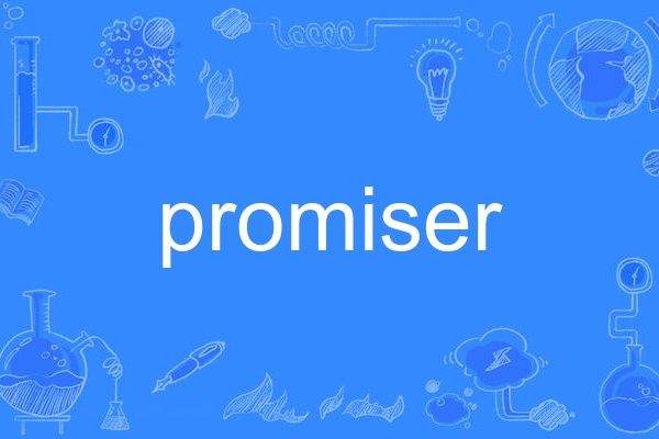 promiser promiser