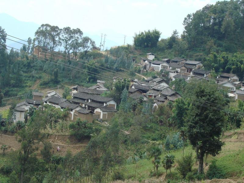 踏枝樹村 踏枝樹村