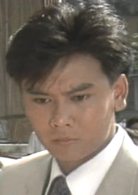 新紮師兄續集(新紮師兄（1985年梁朝偉主演TVB電視劇）)