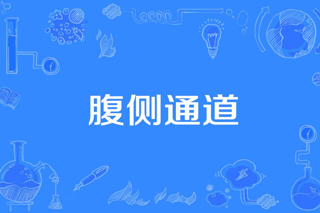 腹側通道 腹側通道