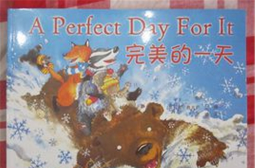 完美的一天(2008年中國電力出版社出版圖書)