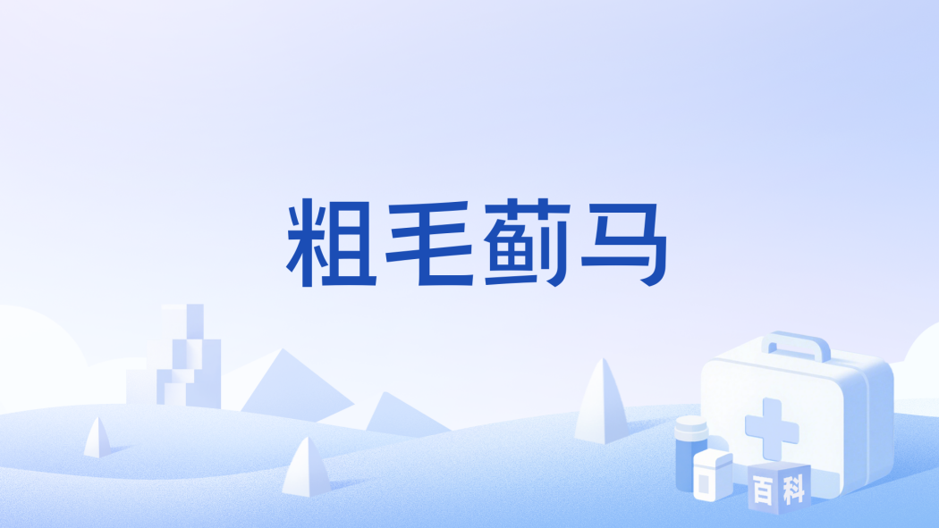 粗毛薊馬 粗毛薊馬