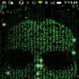 Matrix(電影《黑客帝國》中虛擬程式) Matrix(電影《黑客帝國》中虛擬程式)