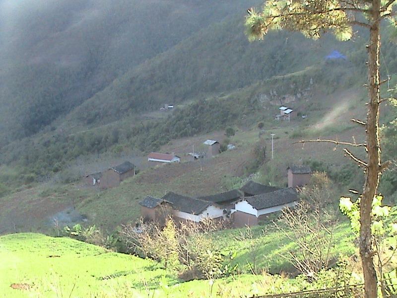 習上村 習上村