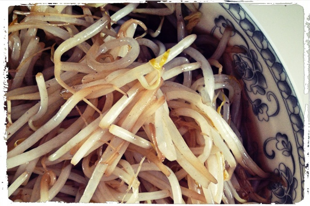爆炒豆芽菜 爆炒豆芽菜