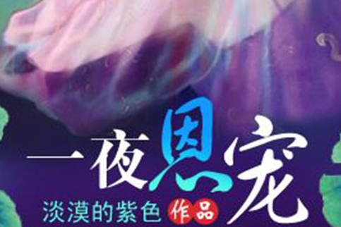 一夜恩寵 一夜恩寵